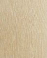 Veneer 4