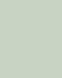 Cardamom Green(Light)